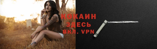 винт Нея