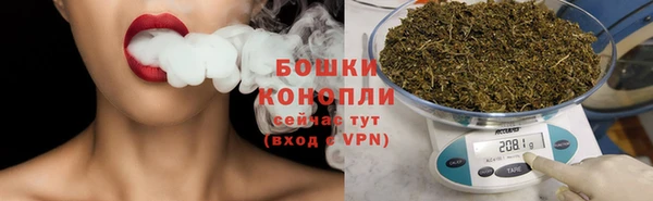 ПСИЛОЦИБИНОВЫЕ ГРИБЫ Новодвинск