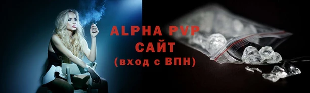 прущие крисы Новозыбков