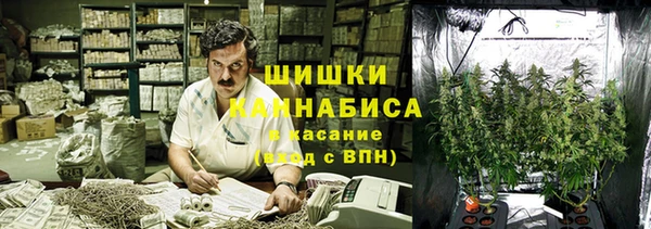 винт Нея