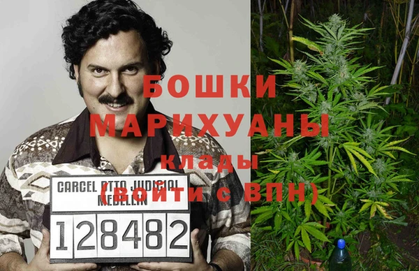 ПСИЛОЦИБИНОВЫЕ ГРИБЫ Новодвинск