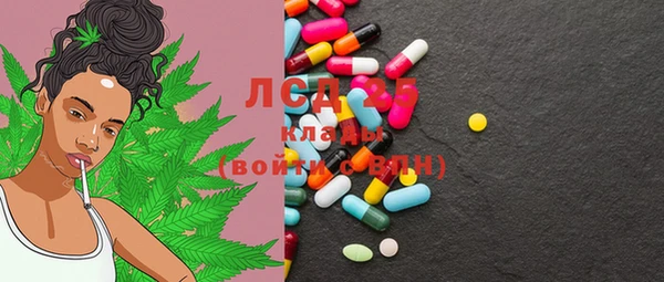 прущие крисы Новозыбков